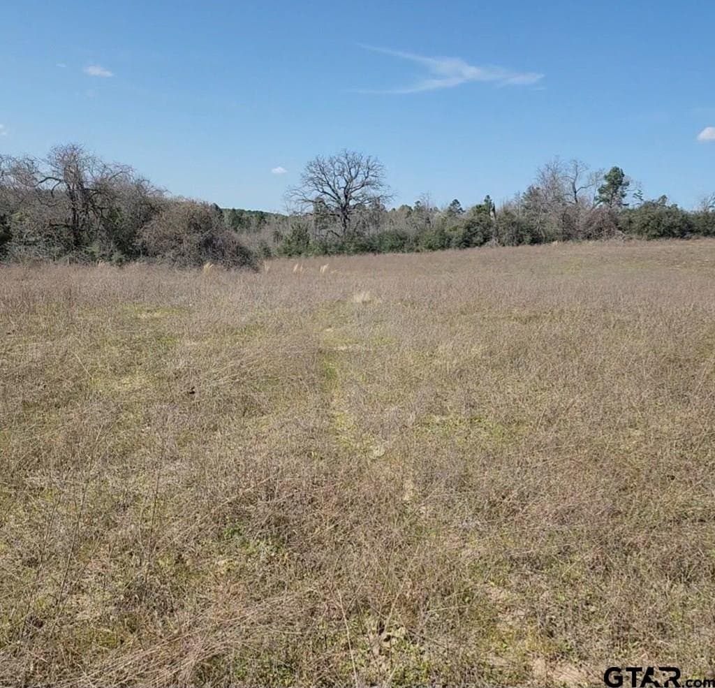 73.51 acres in Anderson County - photo 11