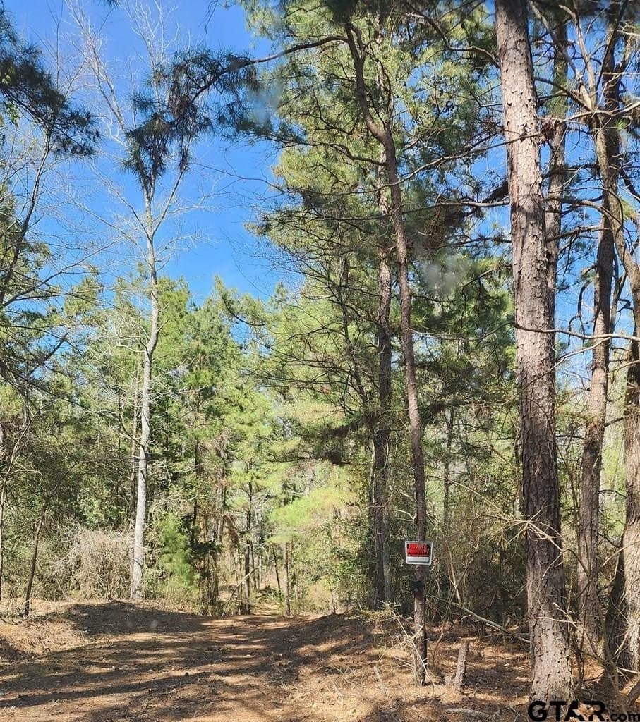 73.51 acres in Anderson County - photo 10
