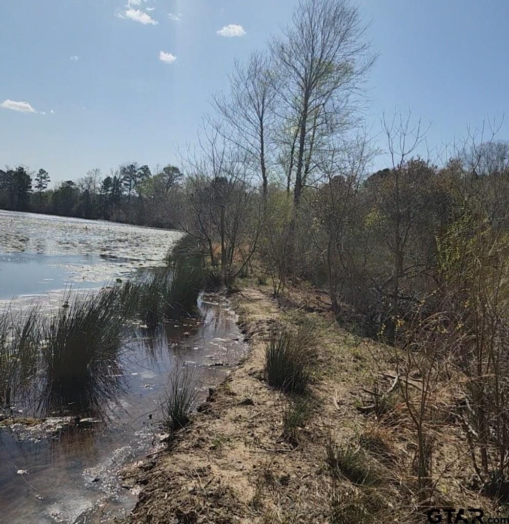 73.51 acres in Anderson County - photo 28