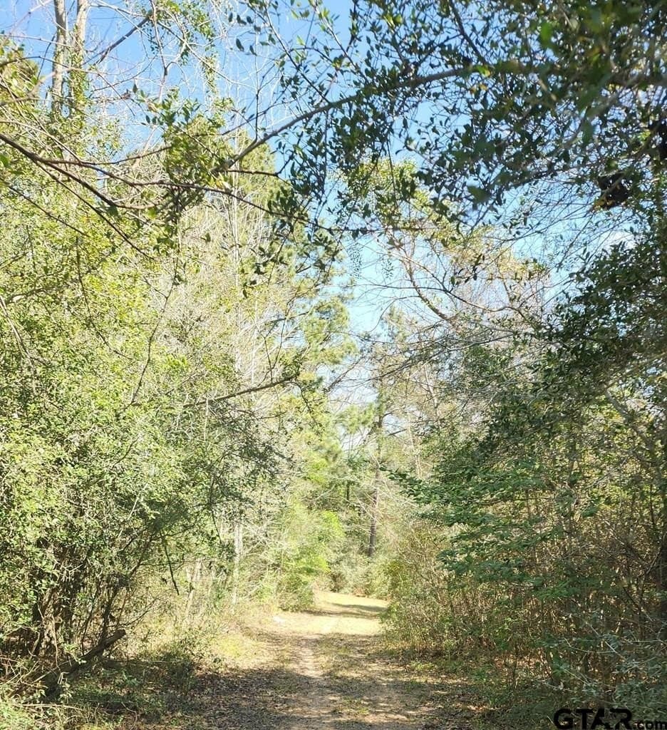 73.51 acres in Anderson County - photo 16