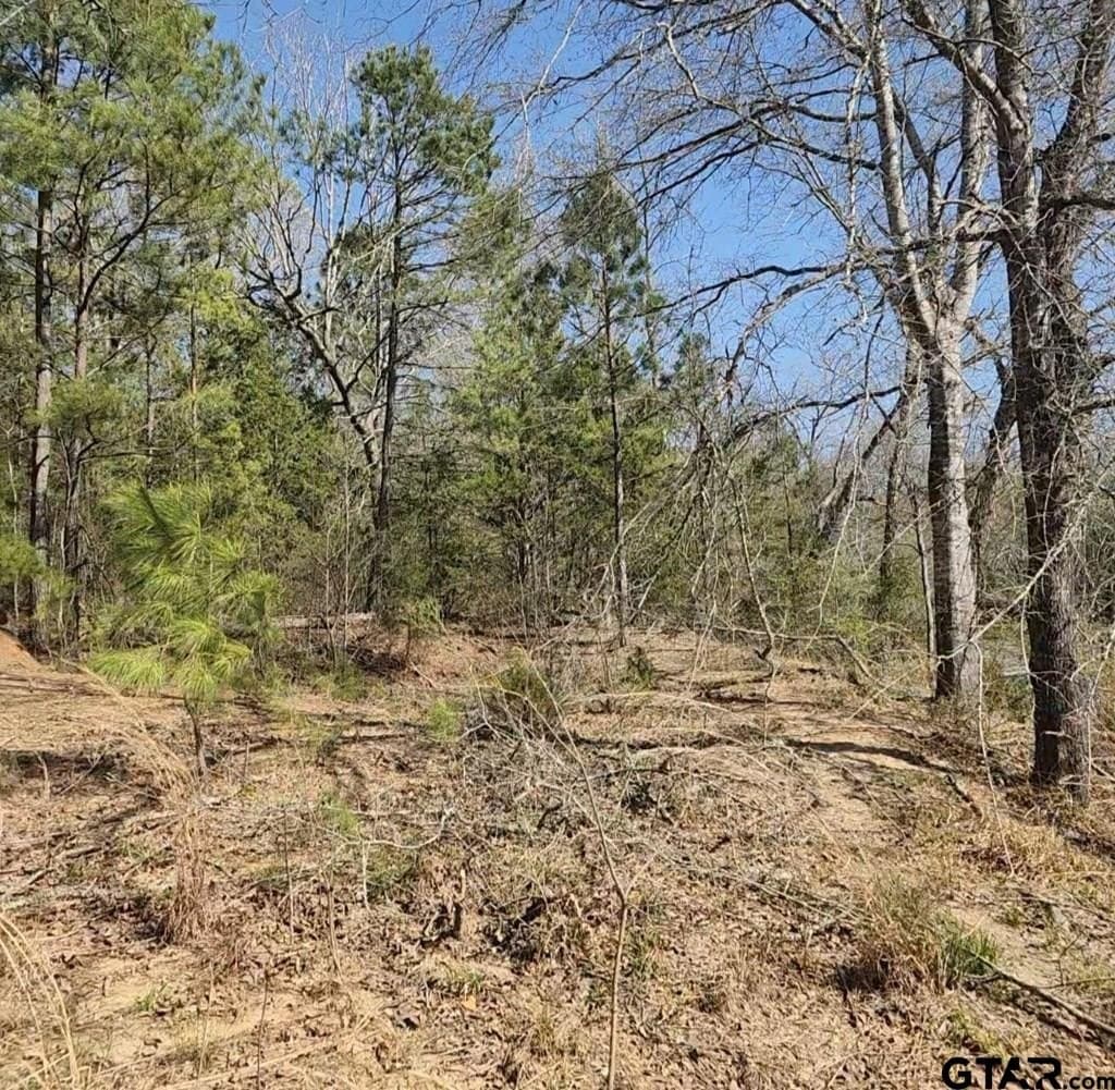 73.51 acres in Anderson County - photo 17