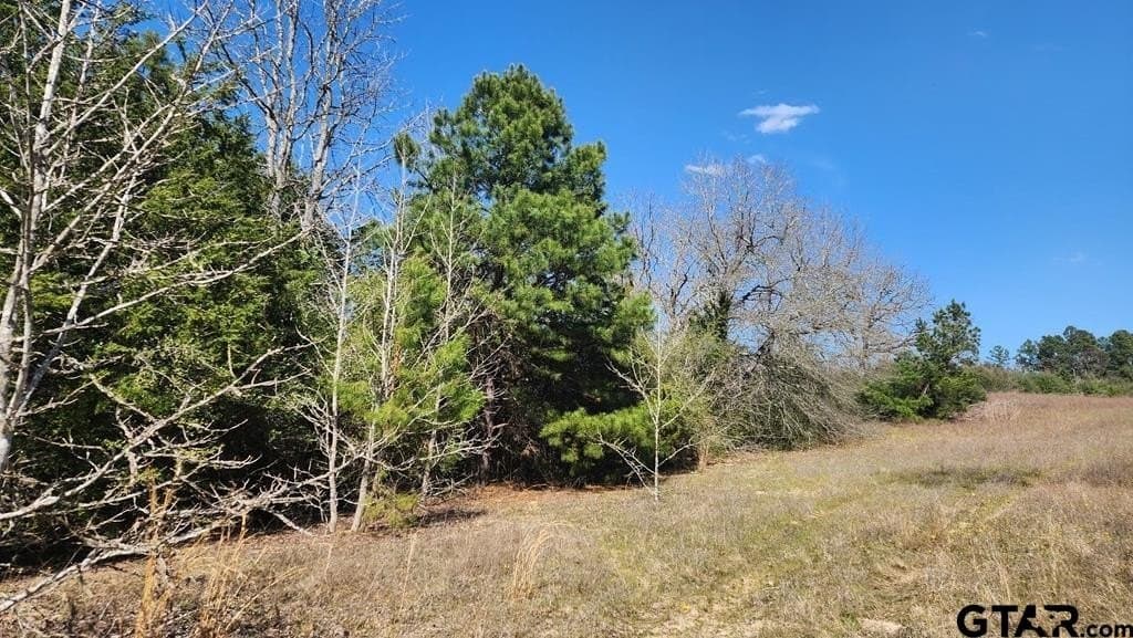 73.51 acres in Anderson County - photo 13