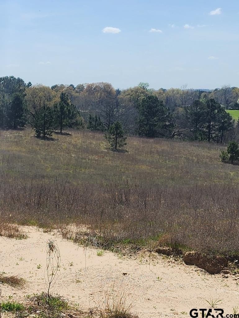 73.51 acres in Anderson County - photo 23
