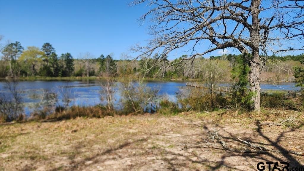 73.51 acres in Anderson County - photo 5