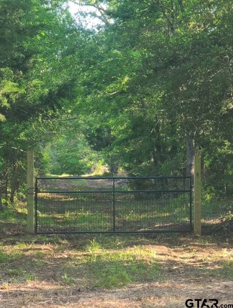 73.51 acres in Anderson County - photo 3