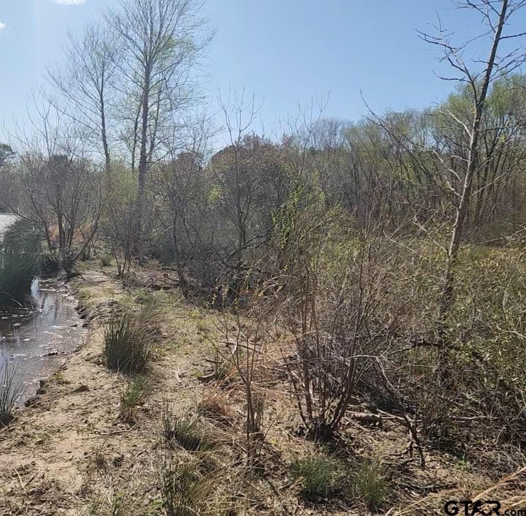 73.51 acres in Anderson County - photo 22