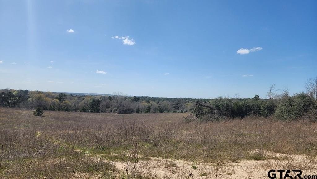 73.51 acres in Anderson County - photo 8