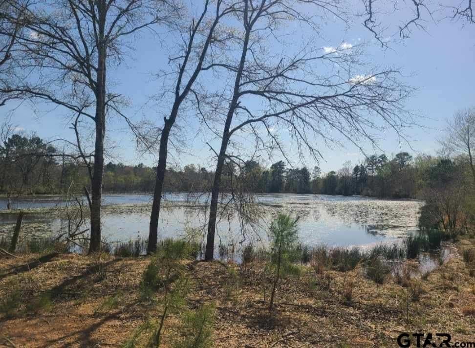 73.51 acres in Anderson County - photo 6