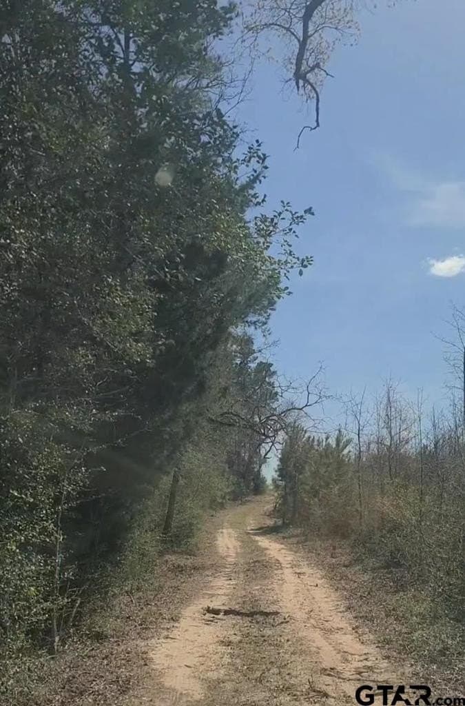 73.51 acres in Anderson County - photo 18