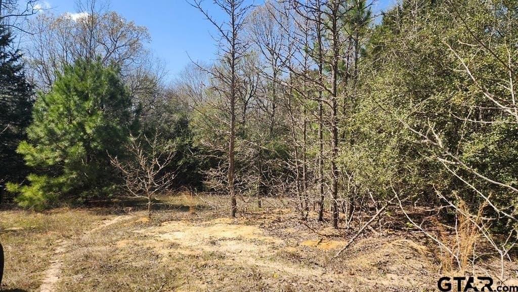 73.51 acres in Anderson County - photo 7