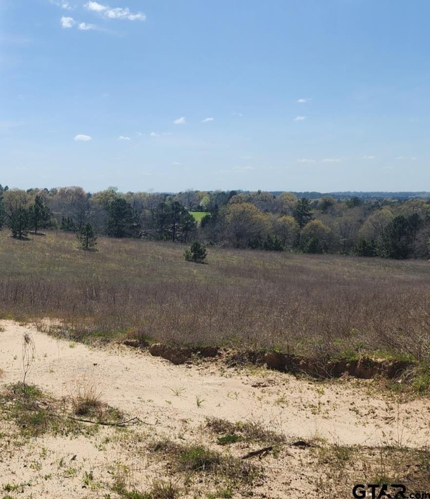73.51 acres in Anderson County - photo 2