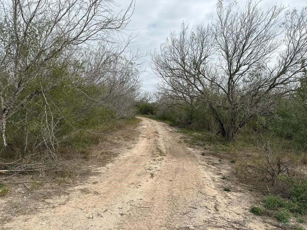 30 acres in Jim Wells County - photo 8