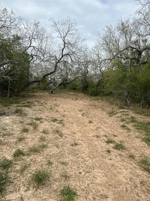 30 acres in Jim Wells County - photo 15