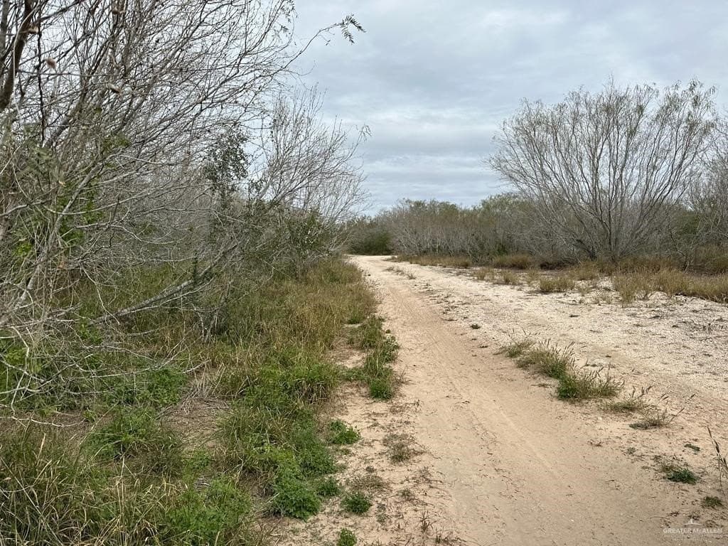 30 acres in Jim Wells County - photo 11