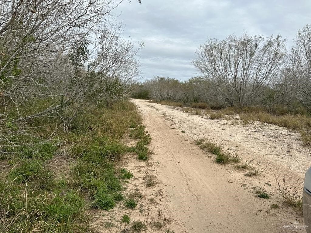 30 acres in Jim Wells County - photo 10