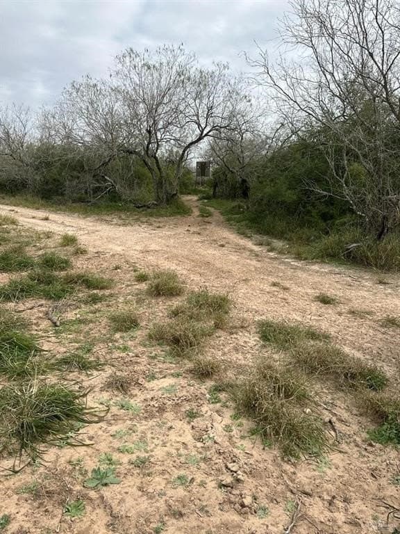 30 acres in Jim Wells County - photo 12