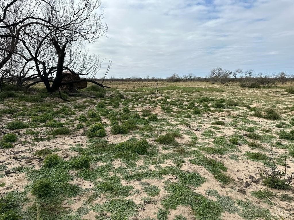 30 acres in Jim Wells County - photo 2
