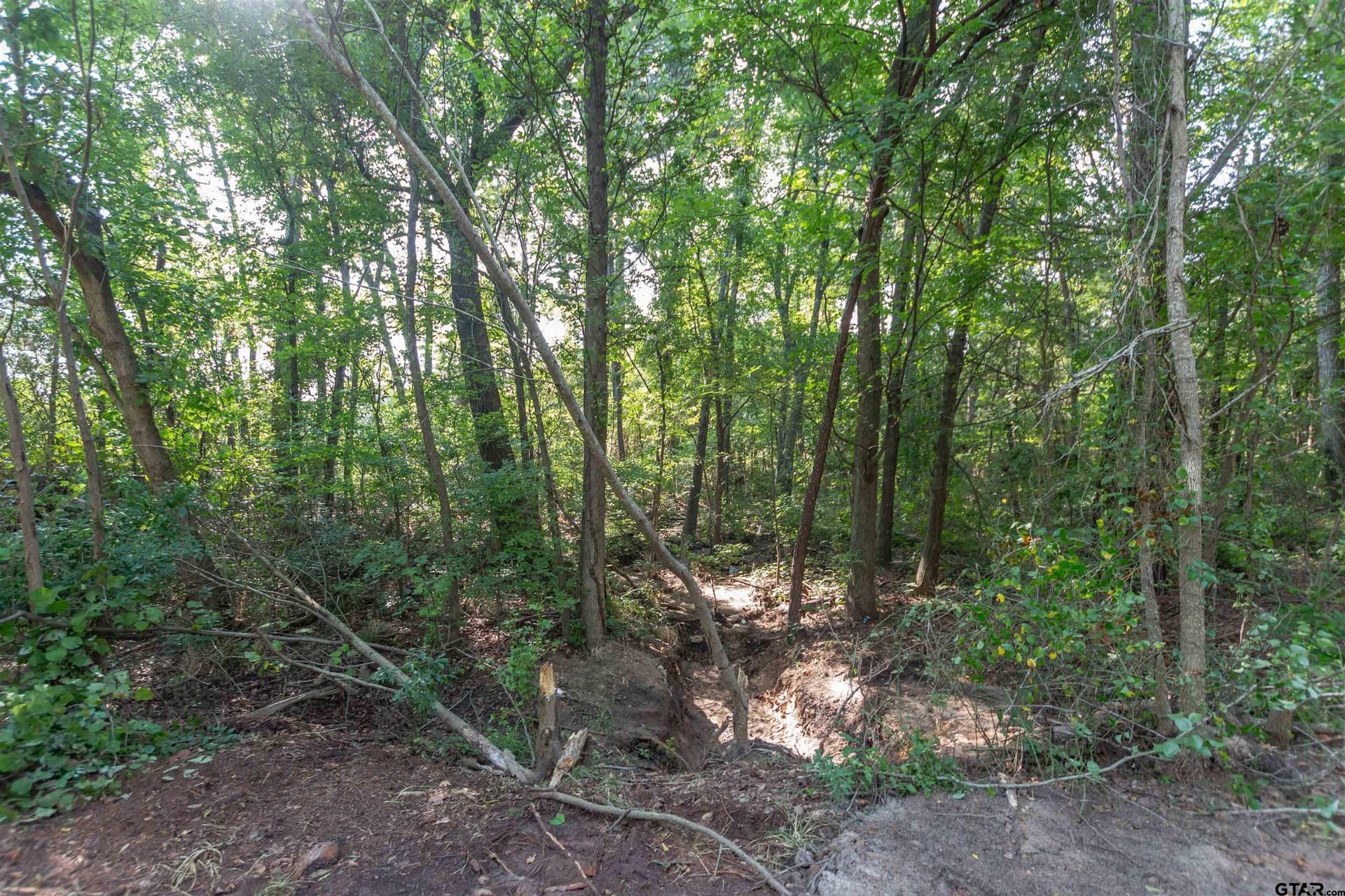 0.79 acres in Smith County - photo 2