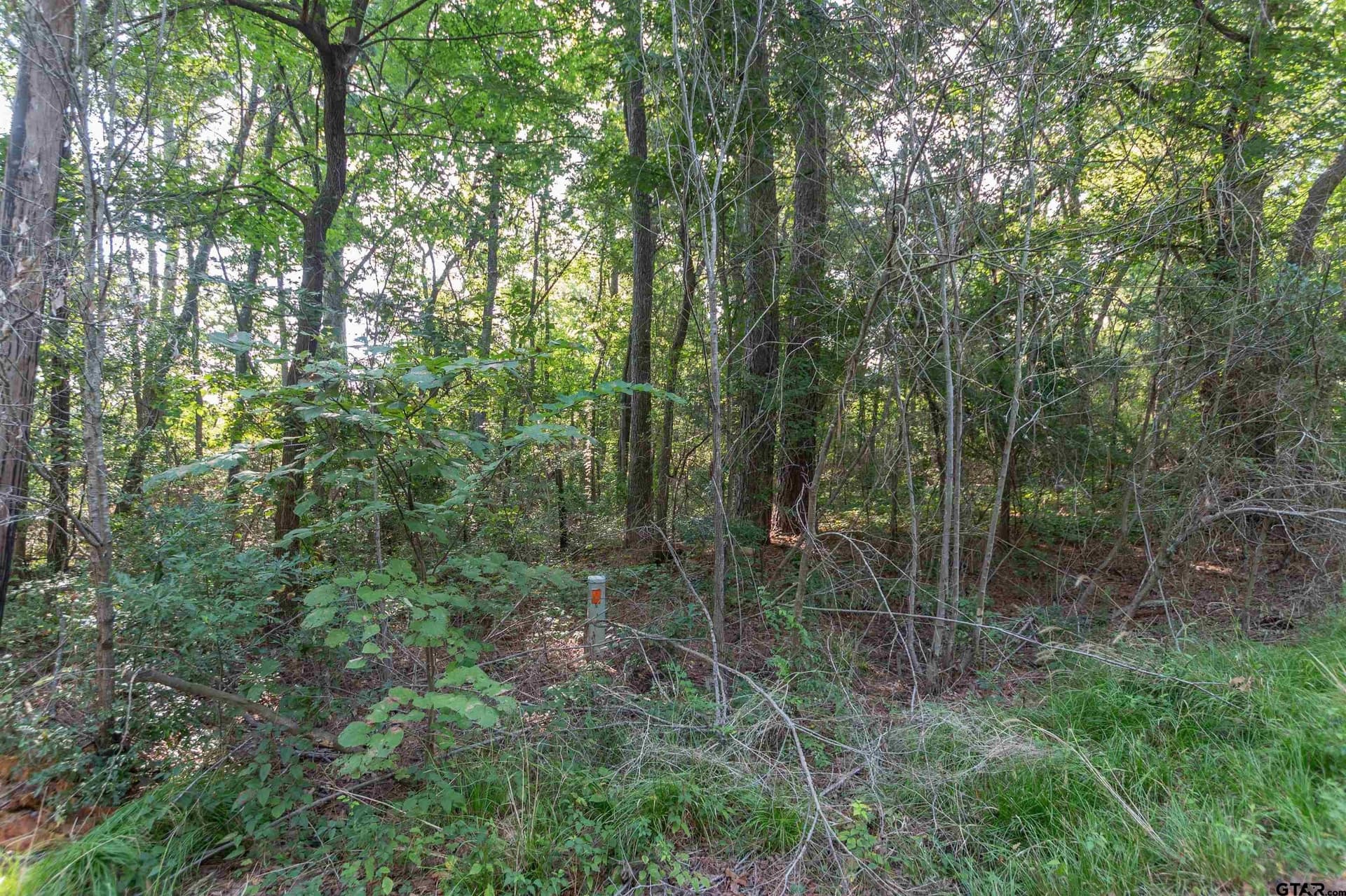 0.79 acres in Smith County - photo 3