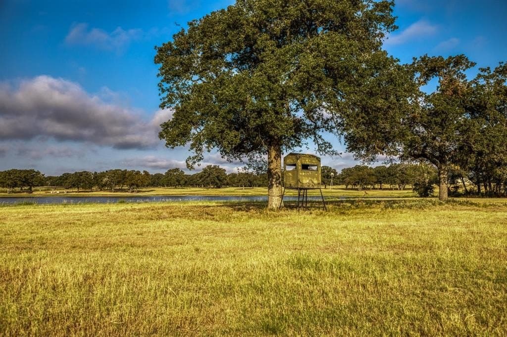148.89 acres in McLennan County - photo 38