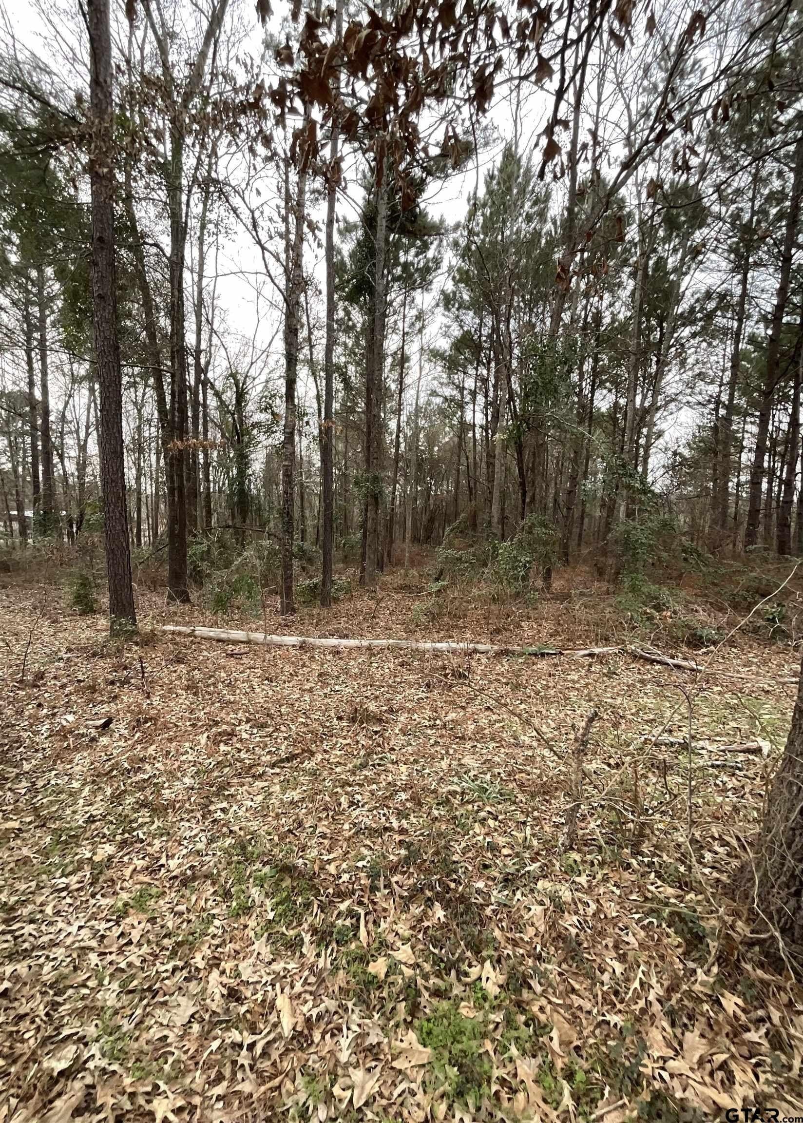 6.8 acres in Smith County - photo 4