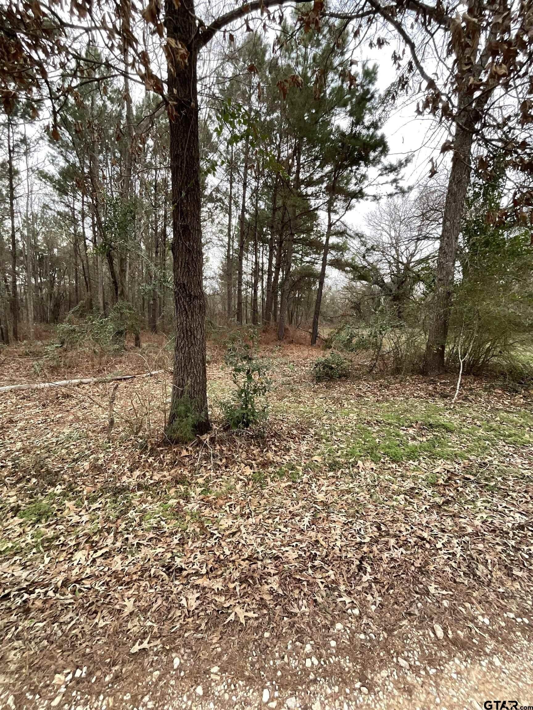 6.8 acres in Smith County - photo 5