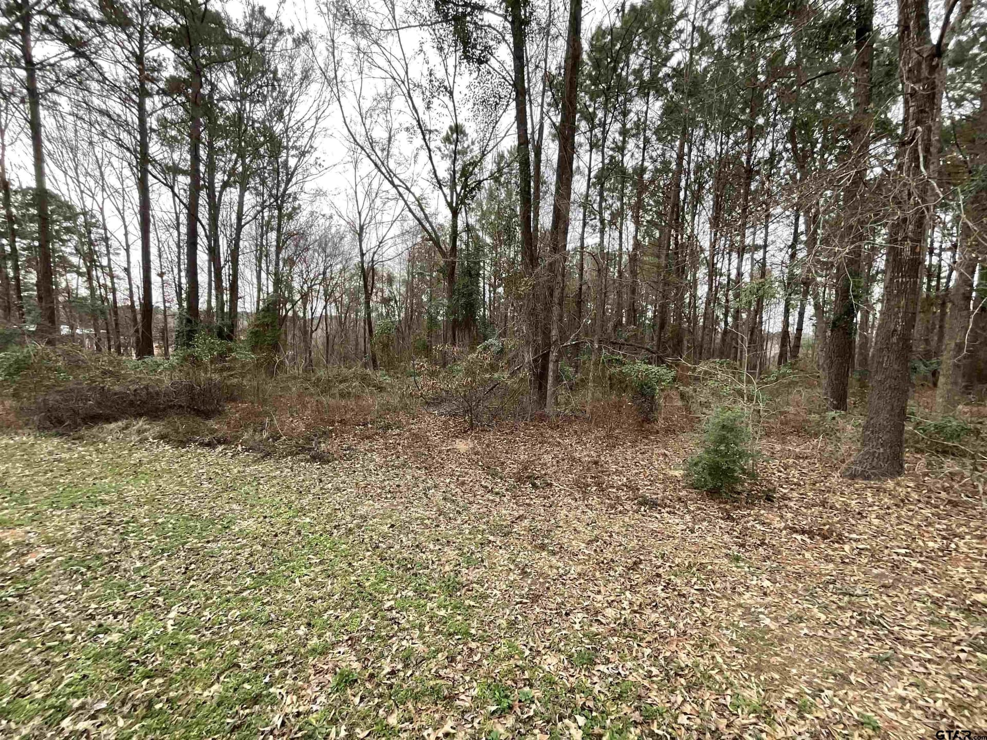 6.8 acres in Smith County - photo 2