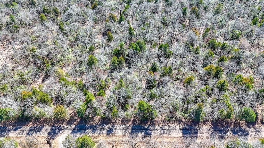 1 acres in Freestone County - photo 9