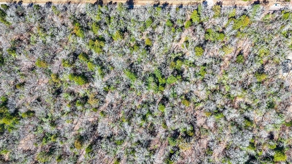 1 acres in Freestone County - photo 10