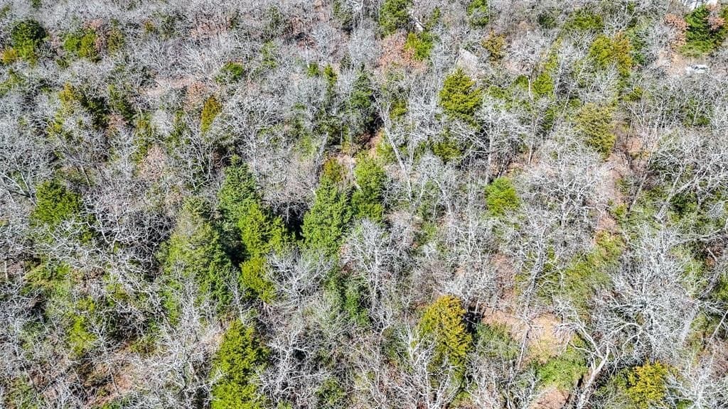 1 acres in Freestone County - photo 13