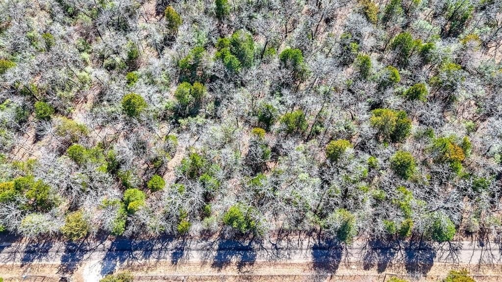 1 acres in Freestone County - photo 7