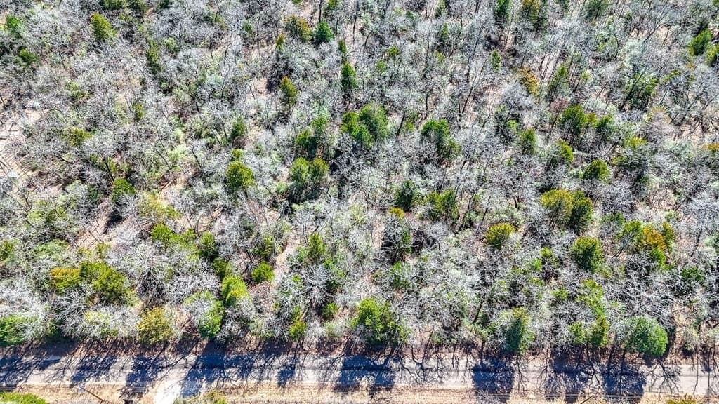1 acres in Freestone County - photo 8