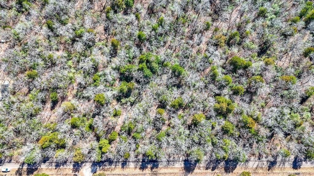 1 acres in Freestone County - photo 5