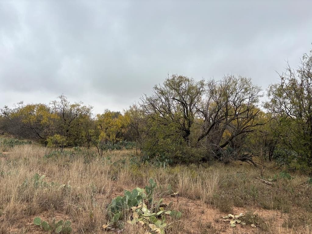 1.29 acres in Scurry County - photo 4