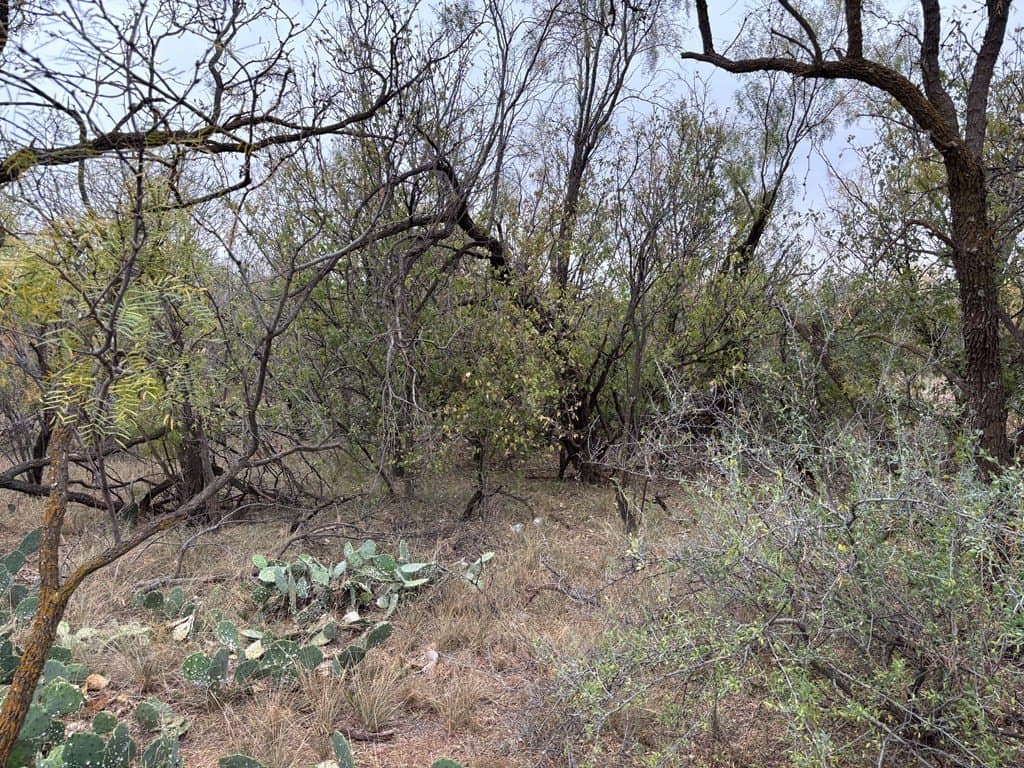 1.29 acres in Scurry County - photo 3
