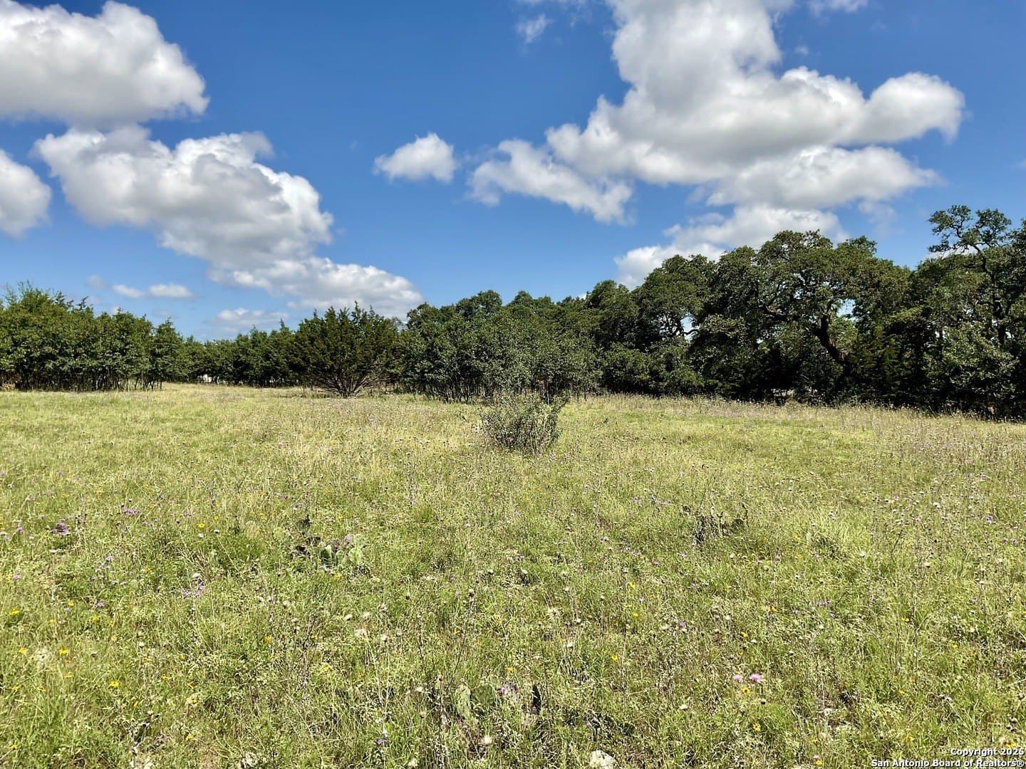 0.3 acres in Blanco County - photo 2