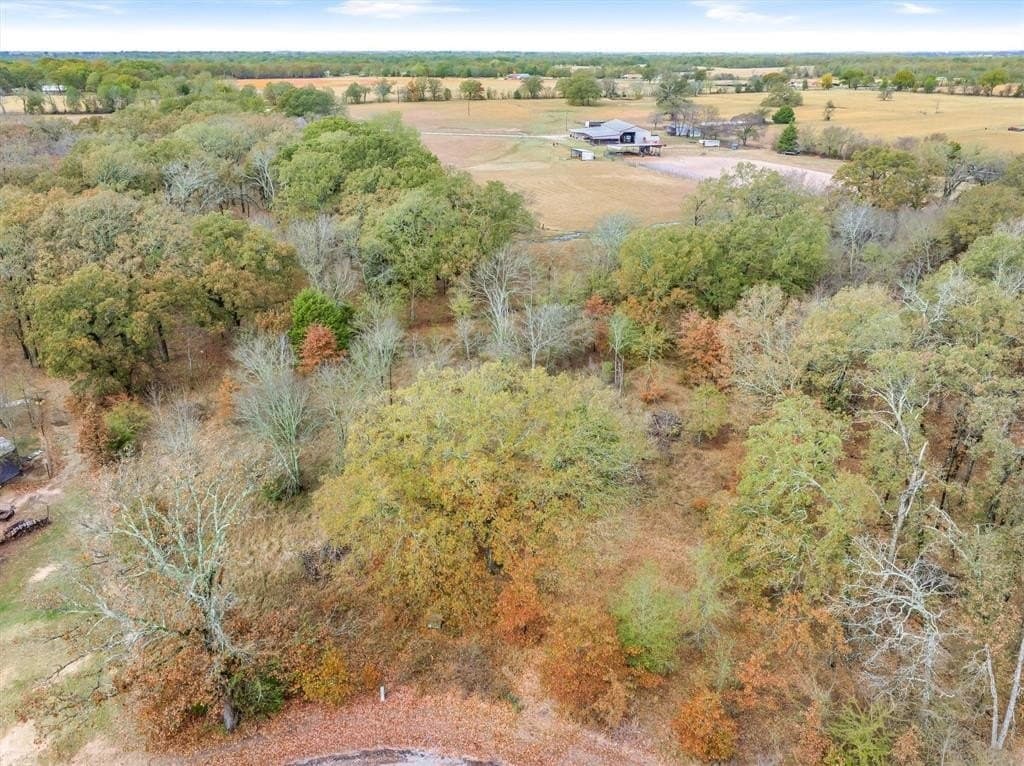 1.02 acres in Rains County - photo 4