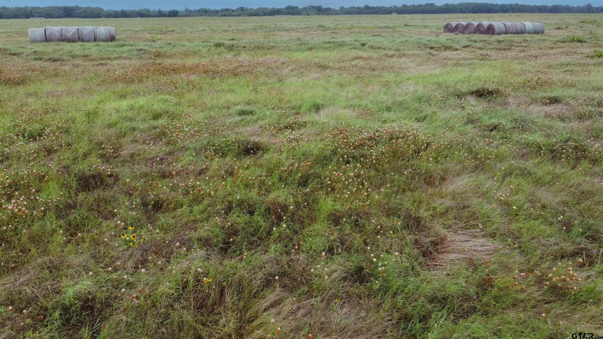 11.69 acres in Delta County - photo 4