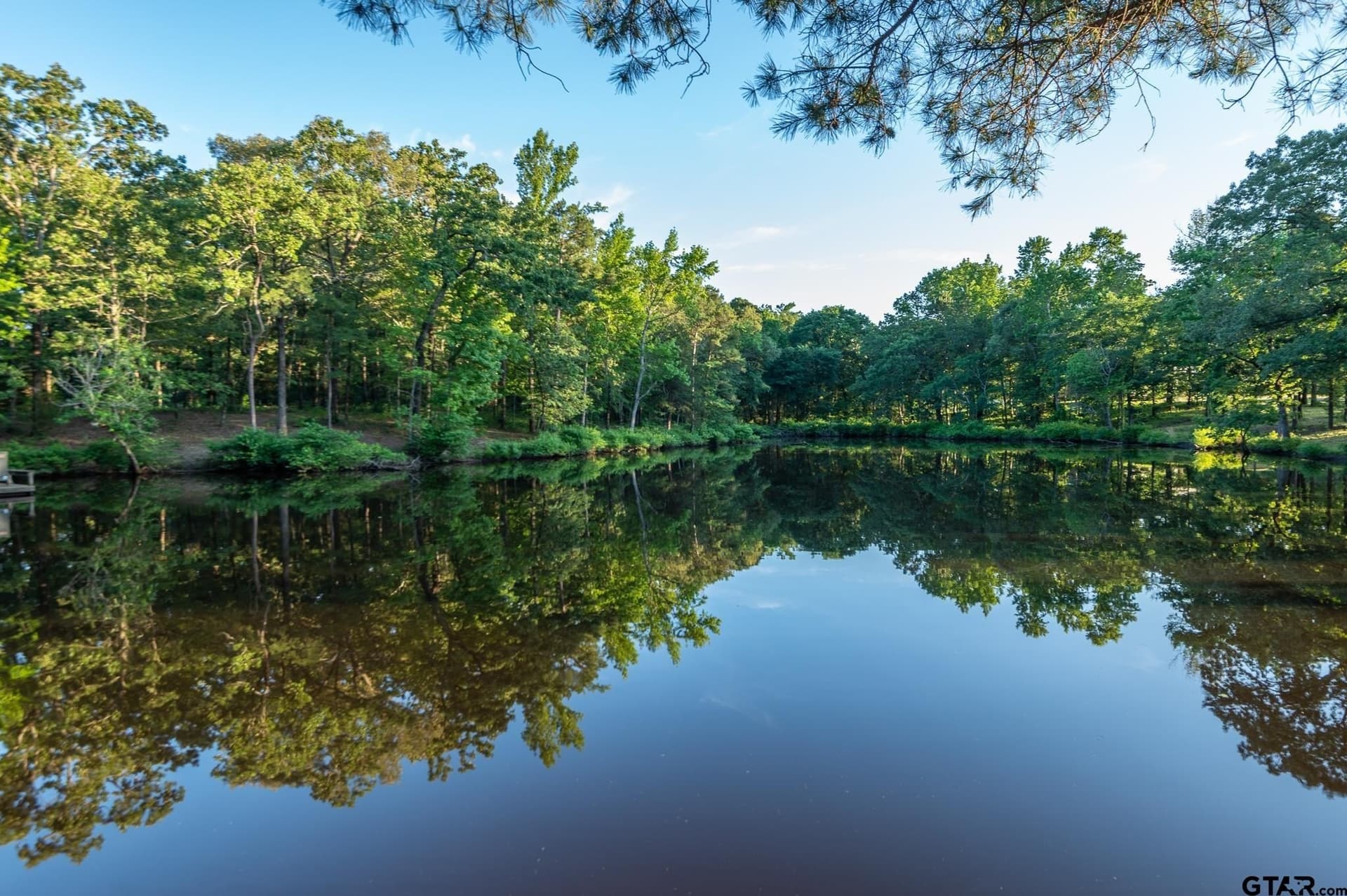 276.4 acres in Wood County - photo 44