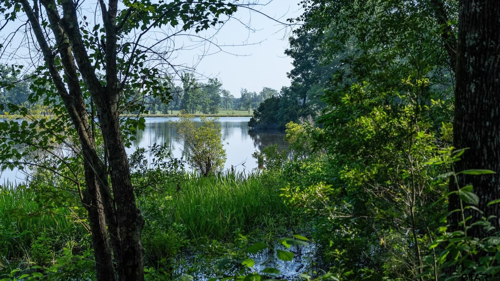 276.4 acres in Wood County - photo 42