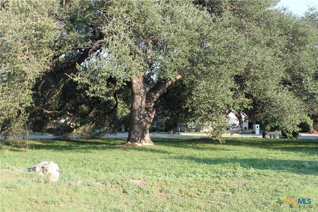 0.33 acres in Bell County - photo 3
