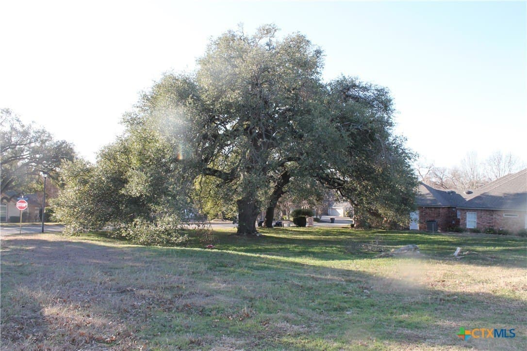 0.33 acres in Bell County - photo 2