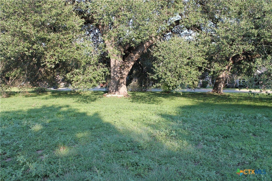 0.33 acres in Bell County - photo 4