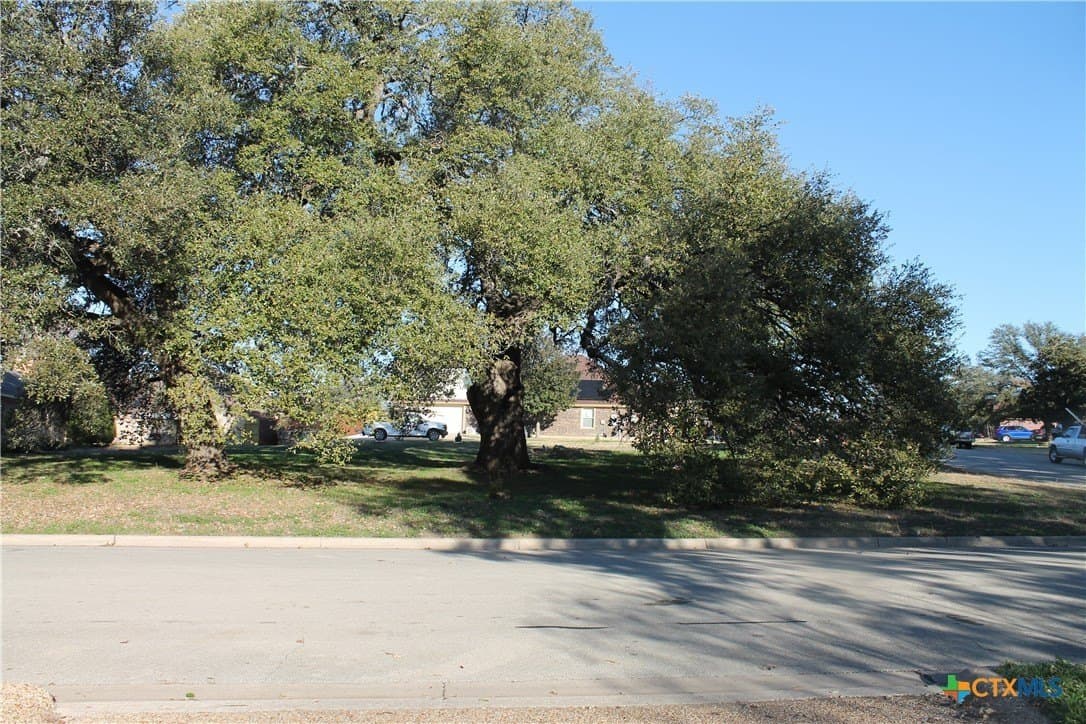 0.33 acres in Bell County - photo 5