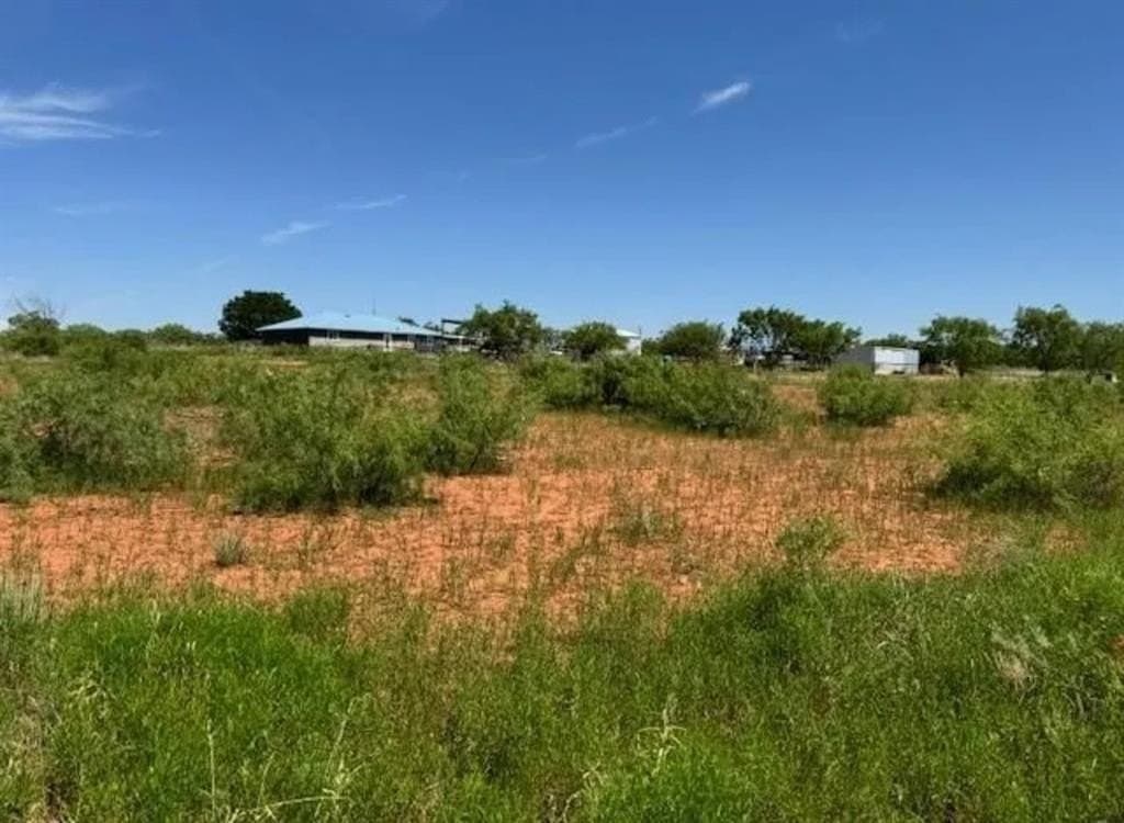 10 acres in Fisher County - photo 17