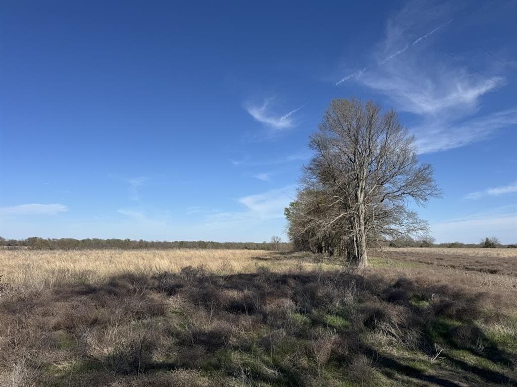 10.01 acres in Lamar County - photo 7