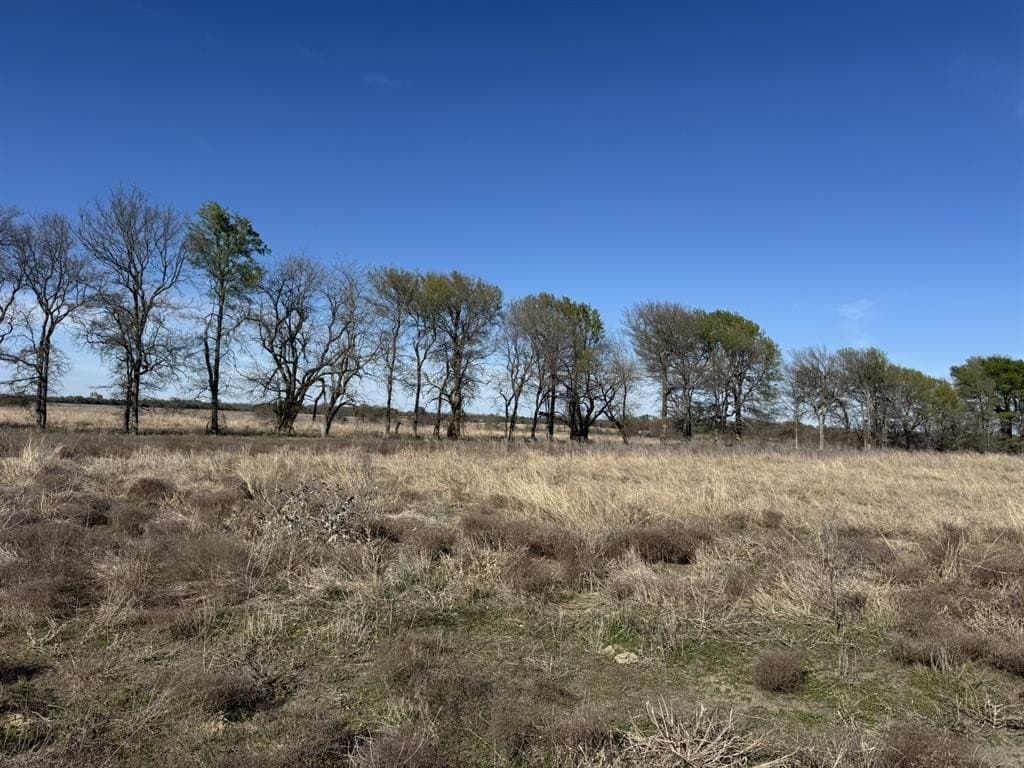10.01 acres in Lamar County - photo 8