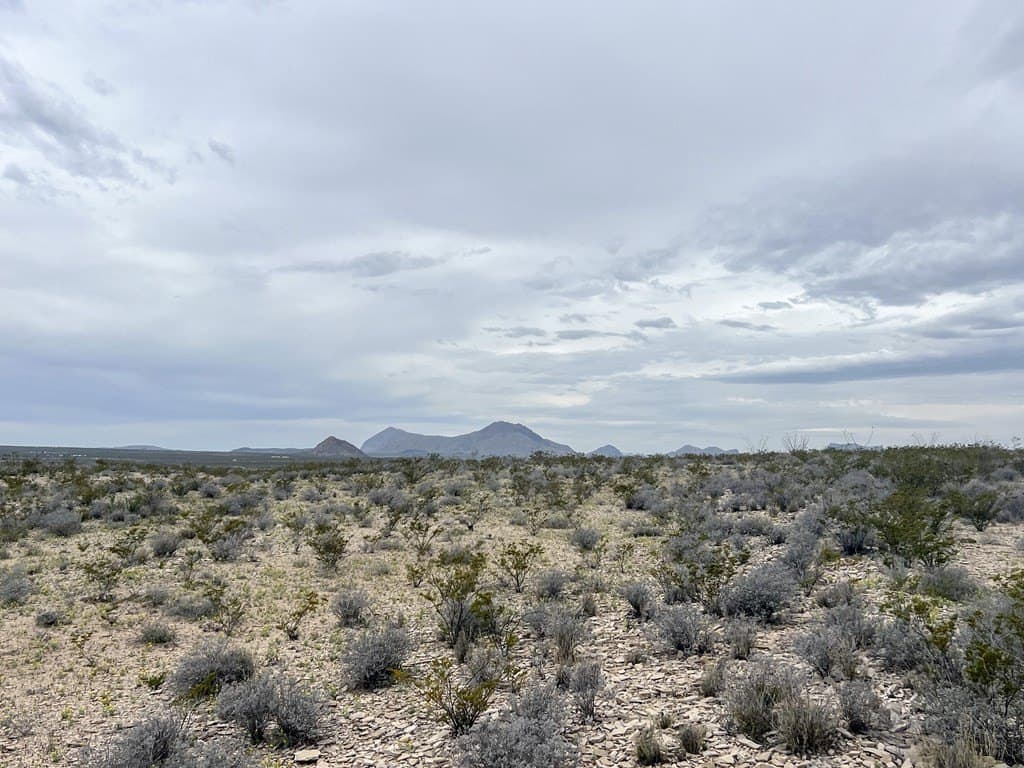 10 acres in Brewster County - photo 6