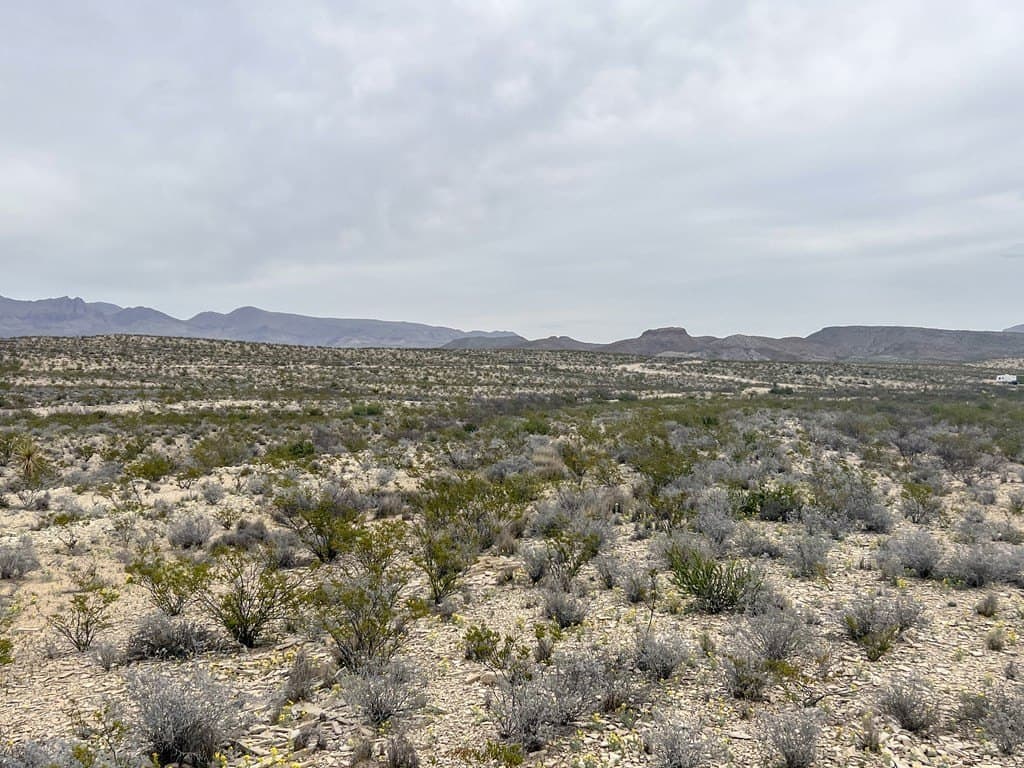 10 acres in Brewster County - photo 9