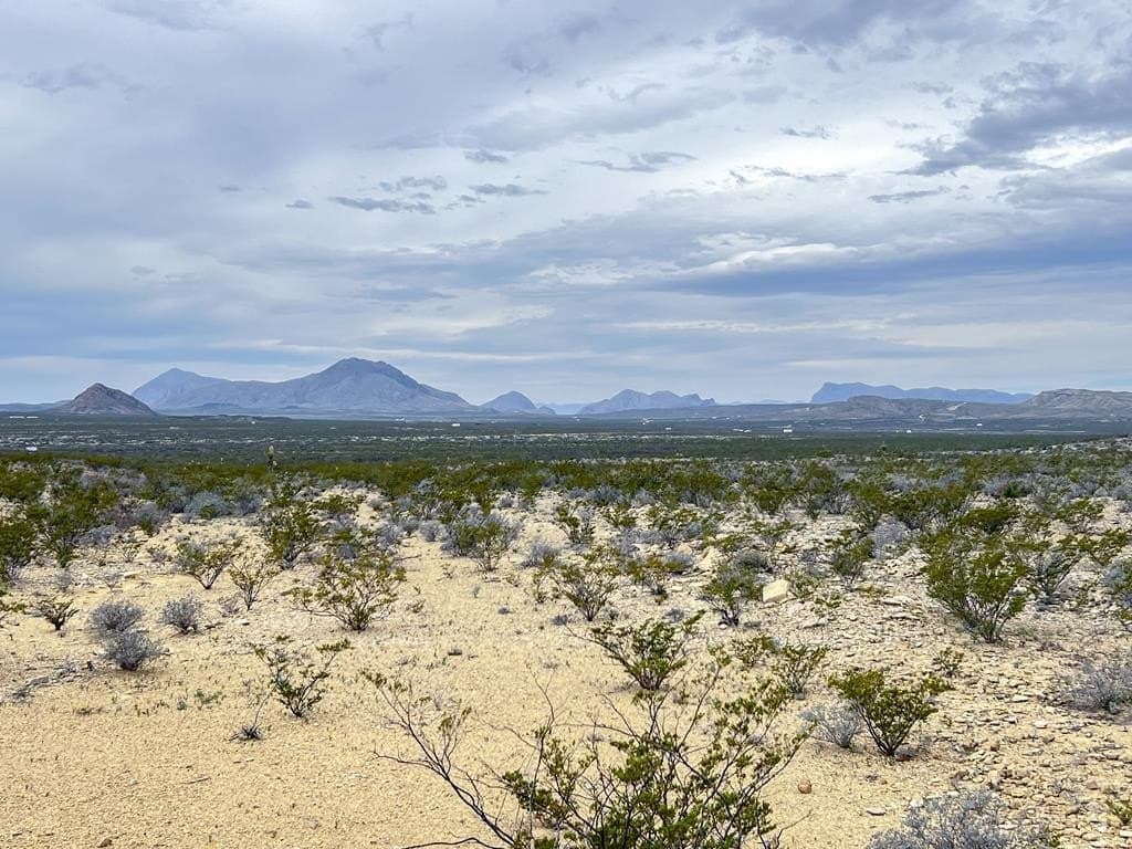 10 acres in Brewster County - photo 3